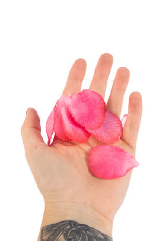 Roseblader Rosa 144 stk