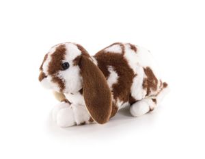 Hovedbilde Hilda Plysj Kosedyr Kanin Lykke 18 cm